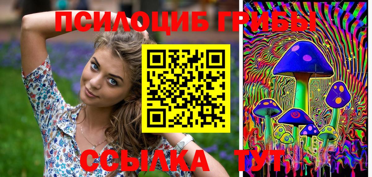 купить наркоту  Вход с VPN  Таганрог  Галлюциногенные грибы MAGIC MUSHROOMS  Галлюциногенные грибы мицелий 